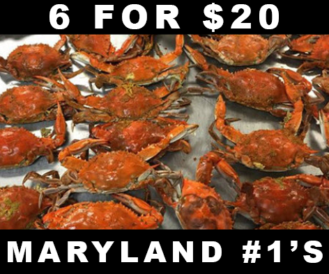 MARYLAND CRABS 6 FOR 20